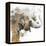 Water Elephant with Gold-Patricia Pinto-Framed Stretched Canvas