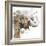 Water Elephant with Gold-Patricia Pinto-Framed Premium Giclee Print