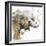 Water Elephant with Gold-Patricia Pinto-Framed Premium Giclee Print