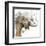 Water Elephant with Gold-Patricia Pinto-Framed Art Print