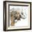 Water Elephant with Gold-Patricia Pinto-Framed Art Print