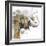 Water Elephant with Gold-Patricia Pinto-Framed Art Print