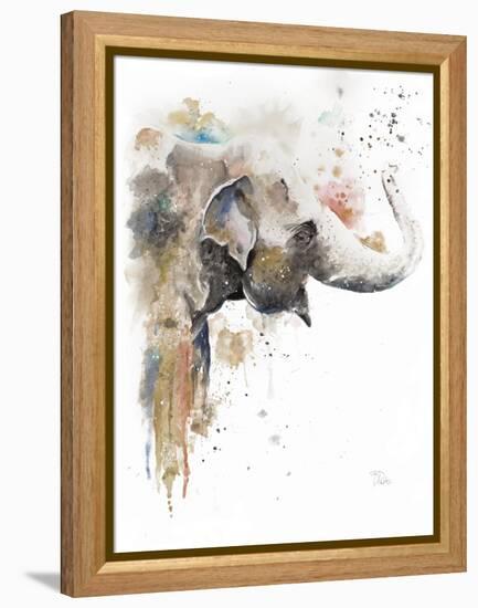 Water Elephant-Patricia Pinto-Framed Stretched Canvas