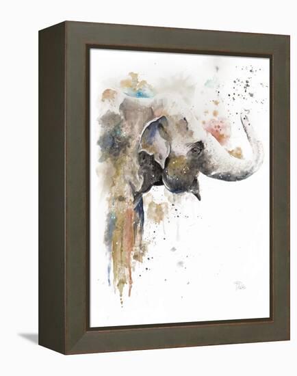 Water Elephant-Patricia Pinto-Framed Stretched Canvas