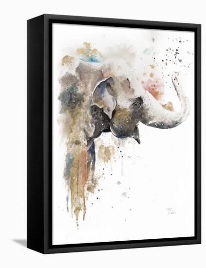 Water Elephant-Patricia Pinto-Framed Stretched Canvas