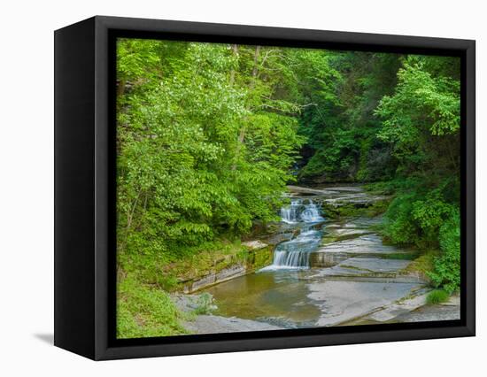 Water falling from rocks, Eagle Cliff Falls, Havana Glen Park, Finger Lakes Region, New York Sta...-null-Framed Premier Image Canvas