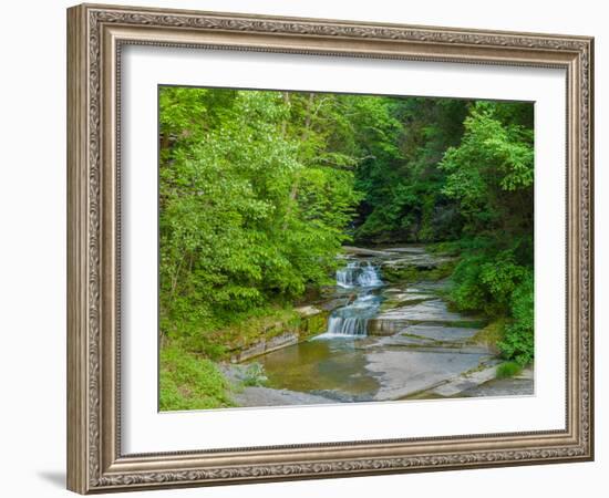 Water falling from rocks, Eagle Cliff Falls, Havana Glen Park, Finger Lakes Region, New York Sta...-null-Framed Photographic Print