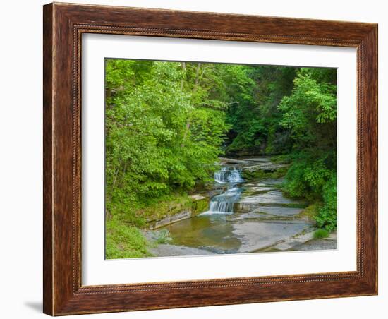 Water falling from rocks, Eagle Cliff Falls, Havana Glen Park, Finger Lakes Region, New York Sta...-null-Framed Photographic Print