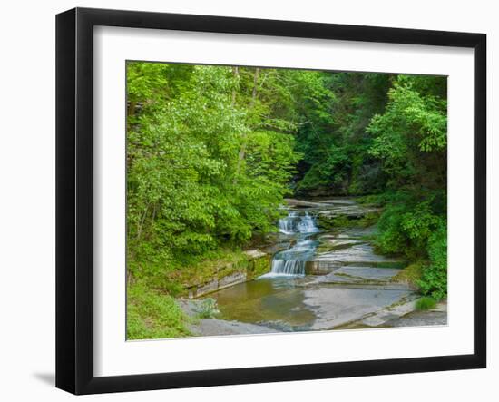 Water falling from rocks, Eagle Cliff Falls, Havana Glen Park, Finger Lakes Region, New York Sta...-null-Framed Photographic Print