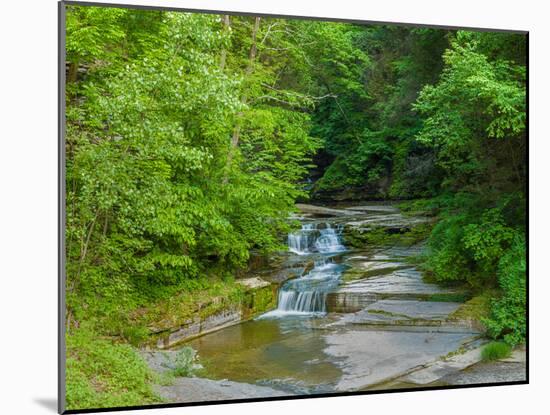 Water falling from rocks, Eagle Cliff Falls, Havana Glen Park, Finger Lakes Region, New York Sta...-null-Mounted Photographic Print