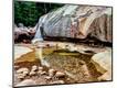 Photographic Print