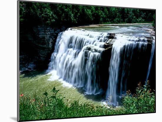 Water falling from rocks in a forest, Middle Falls, Genesee River, Letchworth State Park, New Yo...-null-Mounted Photographic Print