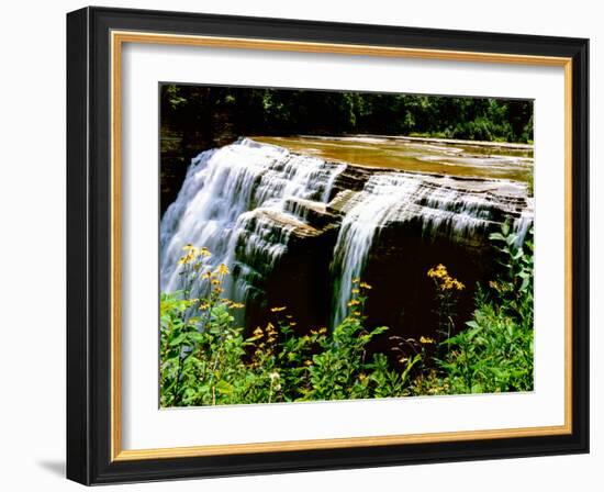 Water falling from rocks in a forest, Middle Falls, Genesee River, Letchworth State Park, New Yo...-null-Framed Photographic Print