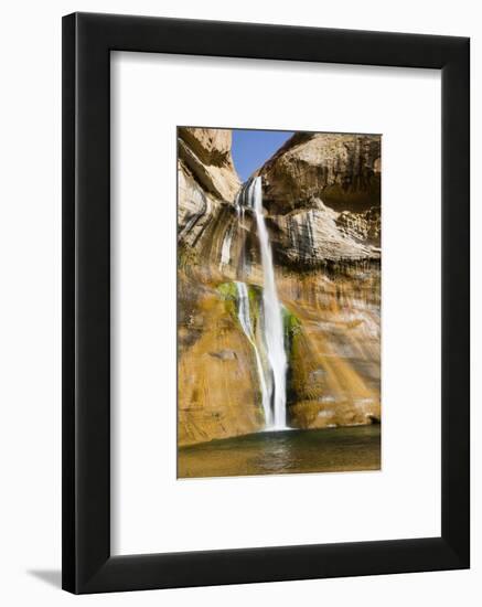 Water falling from rocks, Zion National Park, Utah, USA-Panoramic Images-Framed Photographic Print