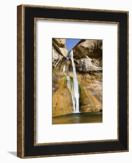 Water falling from rocks, Zion National Park, Utah, USA-Panoramic Images-Framed Photographic Print