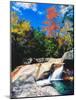 Water falling into a river, Pemigewasset River, Franconia Notch State Park, White Mountains, New...-null-Mounted Photographic Print