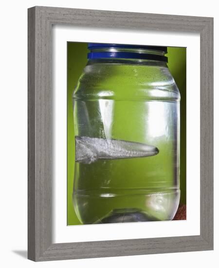 Water Figure-Alan Sailer-Framed Photographic Print