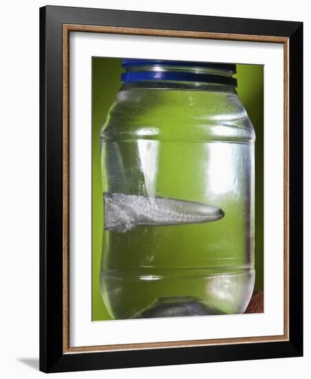 Water Figure-Alan Sailer-Framed Photographic Print