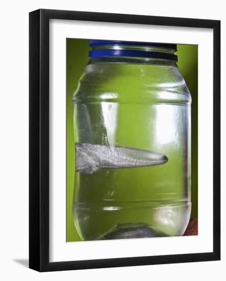 Water Figure-Alan Sailer-Framed Photographic Print