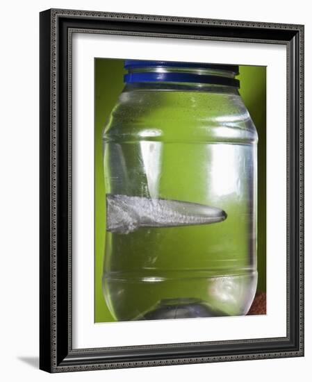 Water Figure-Alan Sailer-Framed Photographic Print