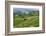 Water-Filled Rice Terraces, Bali Island, Indonesia-Keren Su-Framed Photographic Print