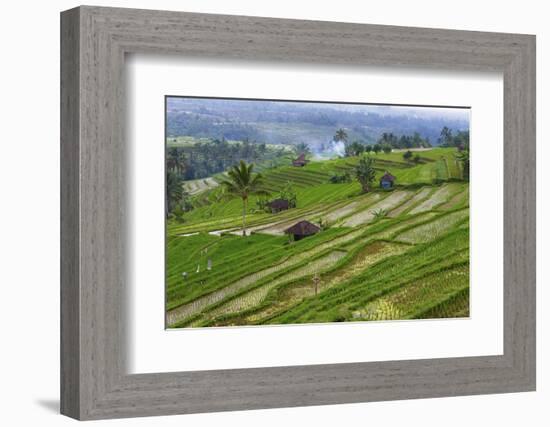 Water-Filled Rice Terraces, Bali Island, Indonesia-Keren Su-Framed Photographic Print