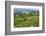 Water-Filled Rice Terraces, Bali Island, Indonesia-Keren Su-Framed Photographic Print