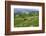 Water-Filled Rice Terraces, Bali Island, Indonesia-Keren Su-Framed Photographic Print