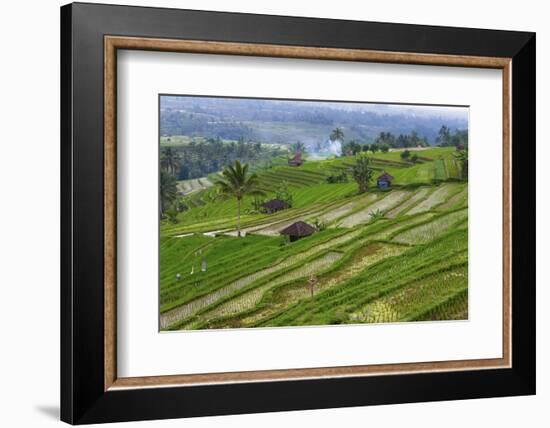 Water-Filled Rice Terraces, Bali Island, Indonesia-Keren Su-Framed Photographic Print