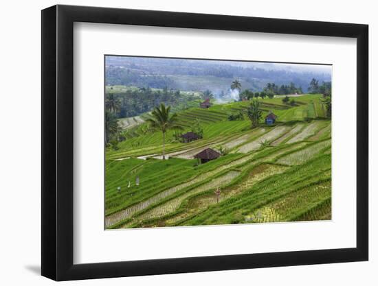 Water-Filled Rice Terraces, Bali Island, Indonesia-Keren Su-Framed Photographic Print