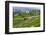 Water-Filled Rice Terraces, Bali Island, Indonesia-Keren Su-Framed Photographic Print