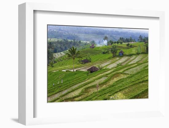 Water-Filled Rice Terraces, Bali Island, Indonesia-Keren Su-Framed Photographic Print