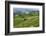 Water-Filled Rice Terraces, Bali Island, Indonesia-Keren Su-Framed Photographic Print