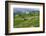 Water-Filled Rice Terraces, Bali Island, Indonesia-Keren Su-Framed Photographic Print