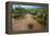 Water flooding across Prickly pear landscape, South Texas-Karine Aigner-Framed Premier Image Canvas