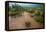 Water flooding across Prickly pear landscape, South Texas-Karine Aigner-Framed Premier Image Canvas