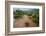 Water flooding across Prickly pear landscape, South Texas-Karine Aigner-Framed Photographic Print