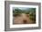 Water flooding across Prickly pear landscape, South Texas-Karine Aigner-Framed Photographic Print