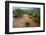 Water flooding across Prickly pear landscape, South Texas-Karine Aigner-Framed Photographic Print