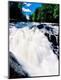 Premium Photographic Print