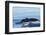 Water flows off a humpback whale's tail as it prepares to dive, British Columbia.-Brenda Tharp-Framed Photographic Print