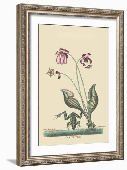 Water Frog-Mark Catesby-Framed Art Print