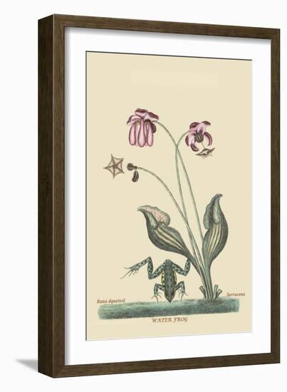 Water Frog-Mark Catesby-Framed Art Print