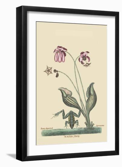 Water Frog-Mark Catesby-Framed Art Print