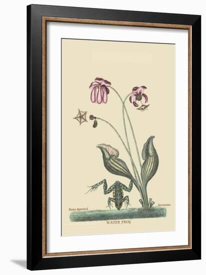 Water Frog-Mark Catesby-Framed Art Print