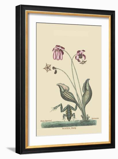 Water Frog-Mark Catesby-Framed Art Print