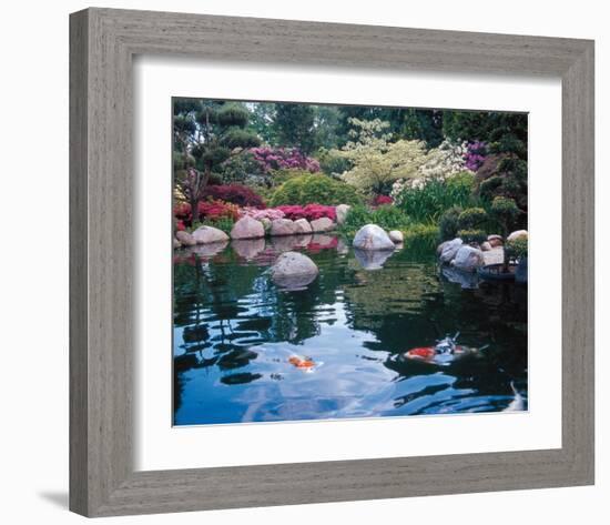 Water Garden I-null-Framed Art Print