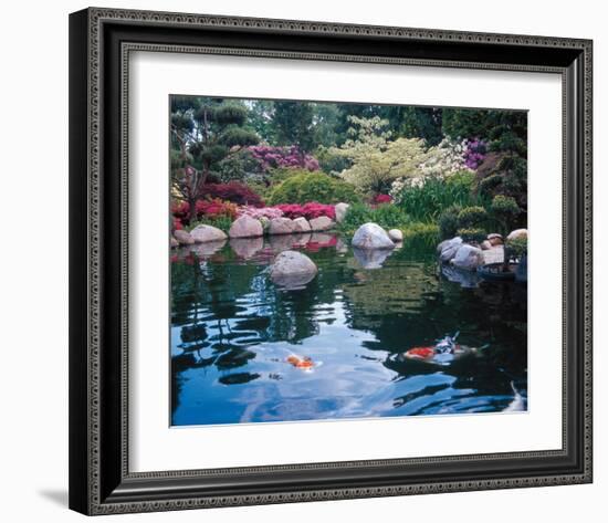 Water Garden I-null-Framed Art Print