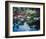 Water Garden I-null-Framed Art Print