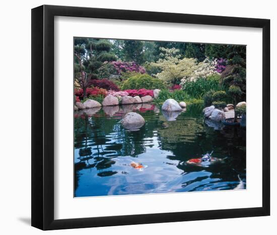 Water Garden I-null-Framed Art Print